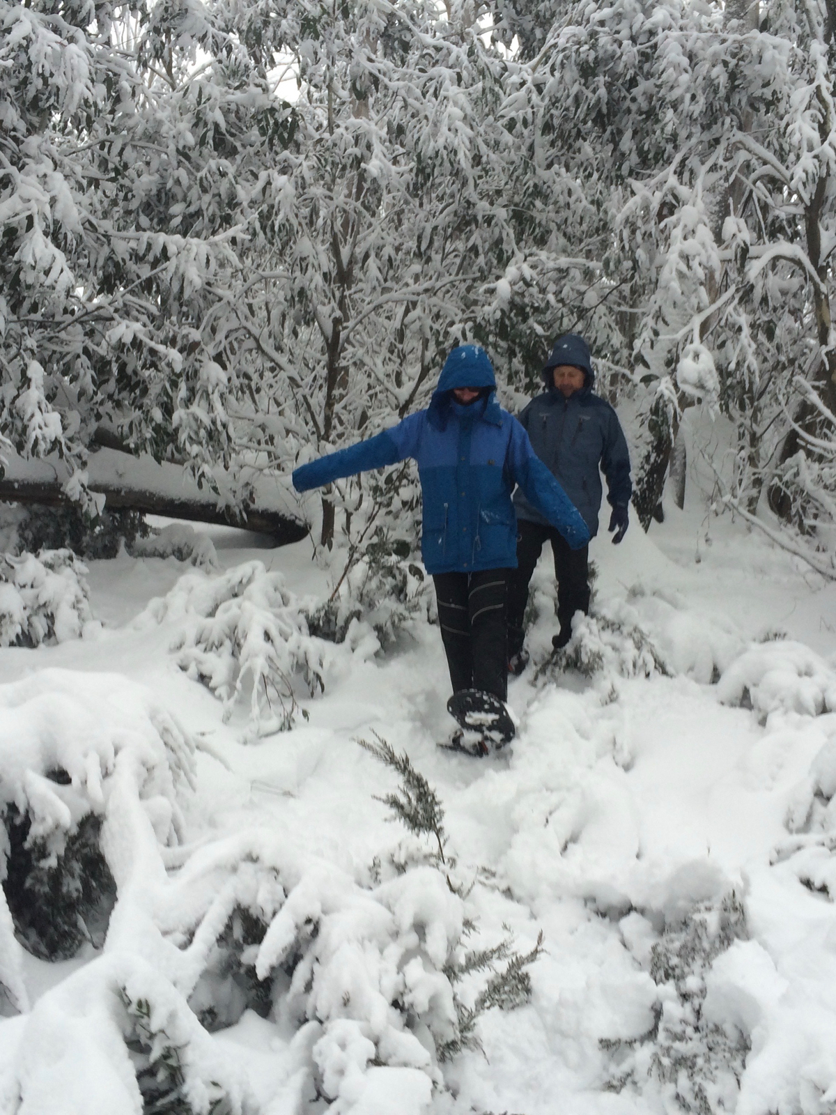 Snowshoe Rambles at Mount Buffalo