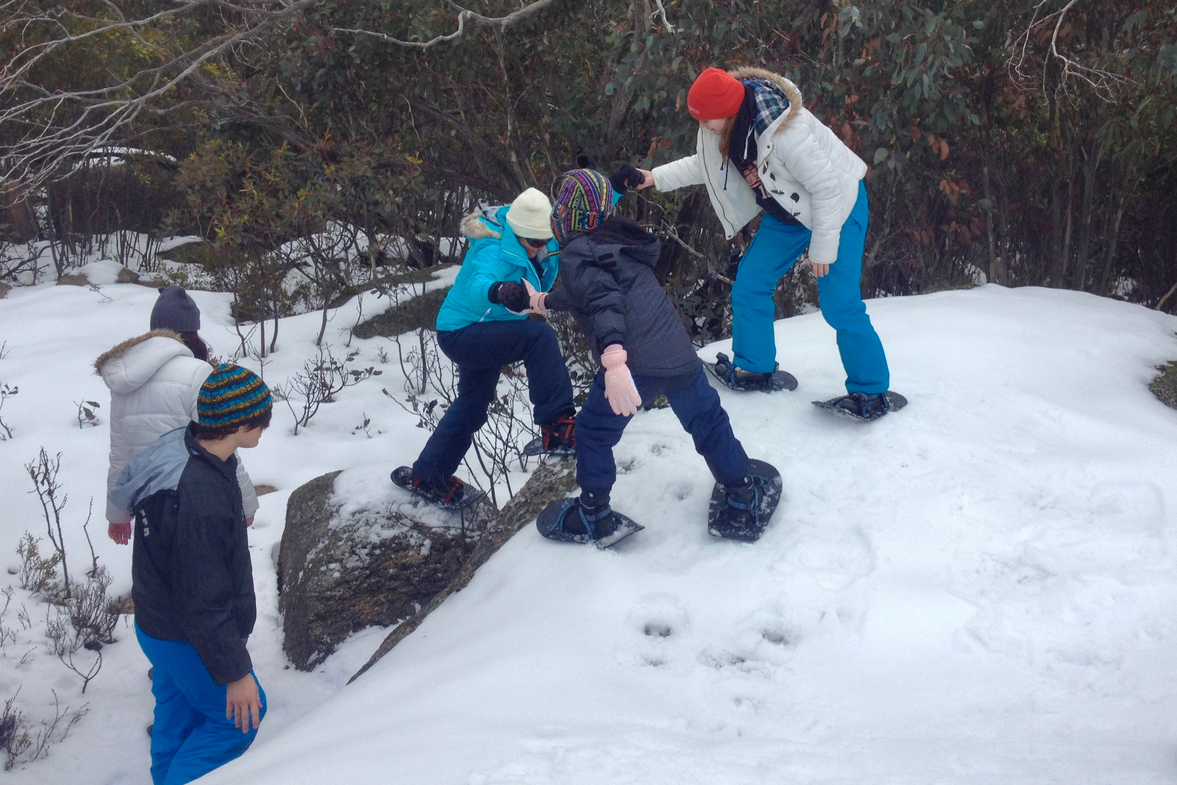 Snowshoe Tours | Mount Buffalo, Victoria, Australia