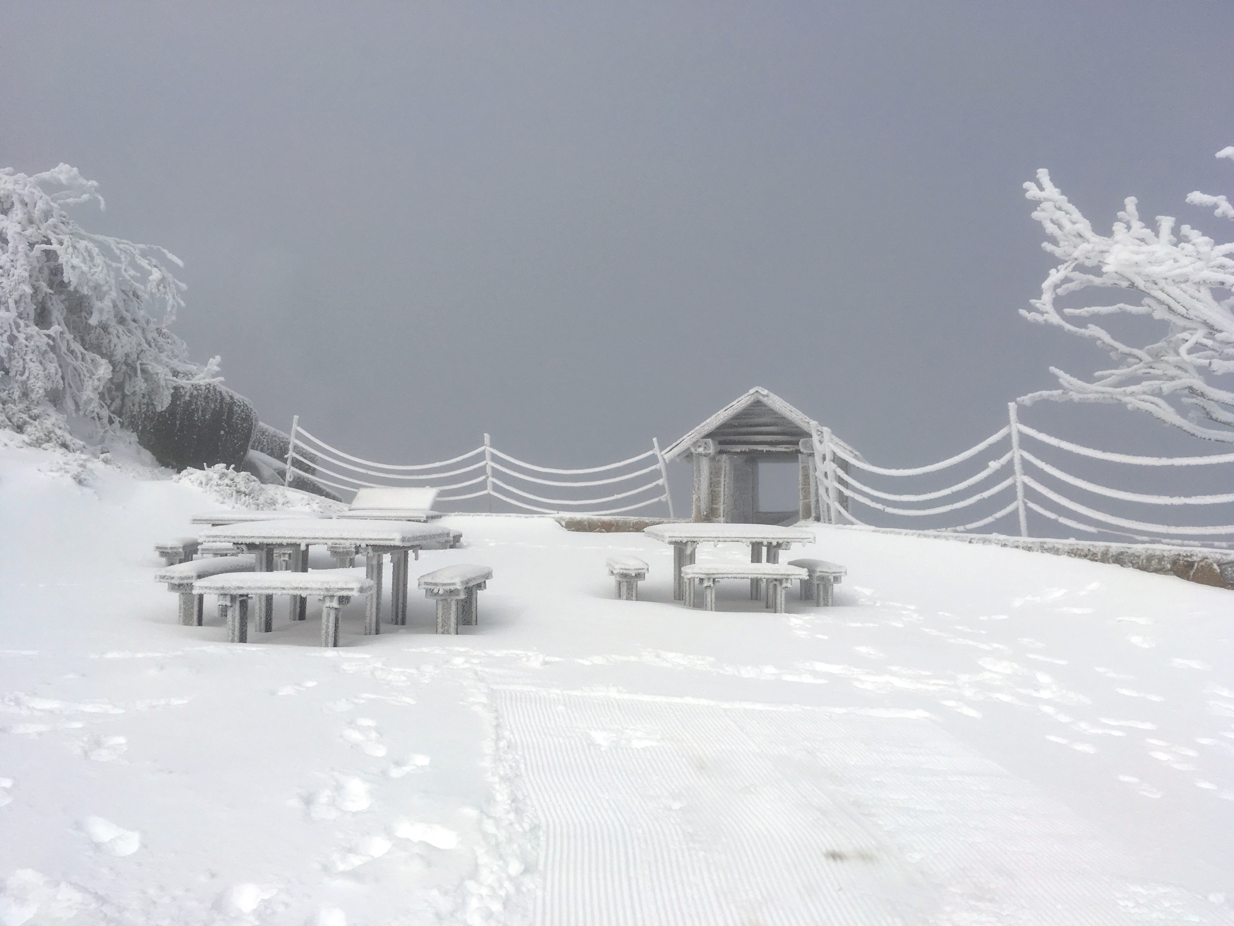 Snow at The Horn, Mount Buffalo