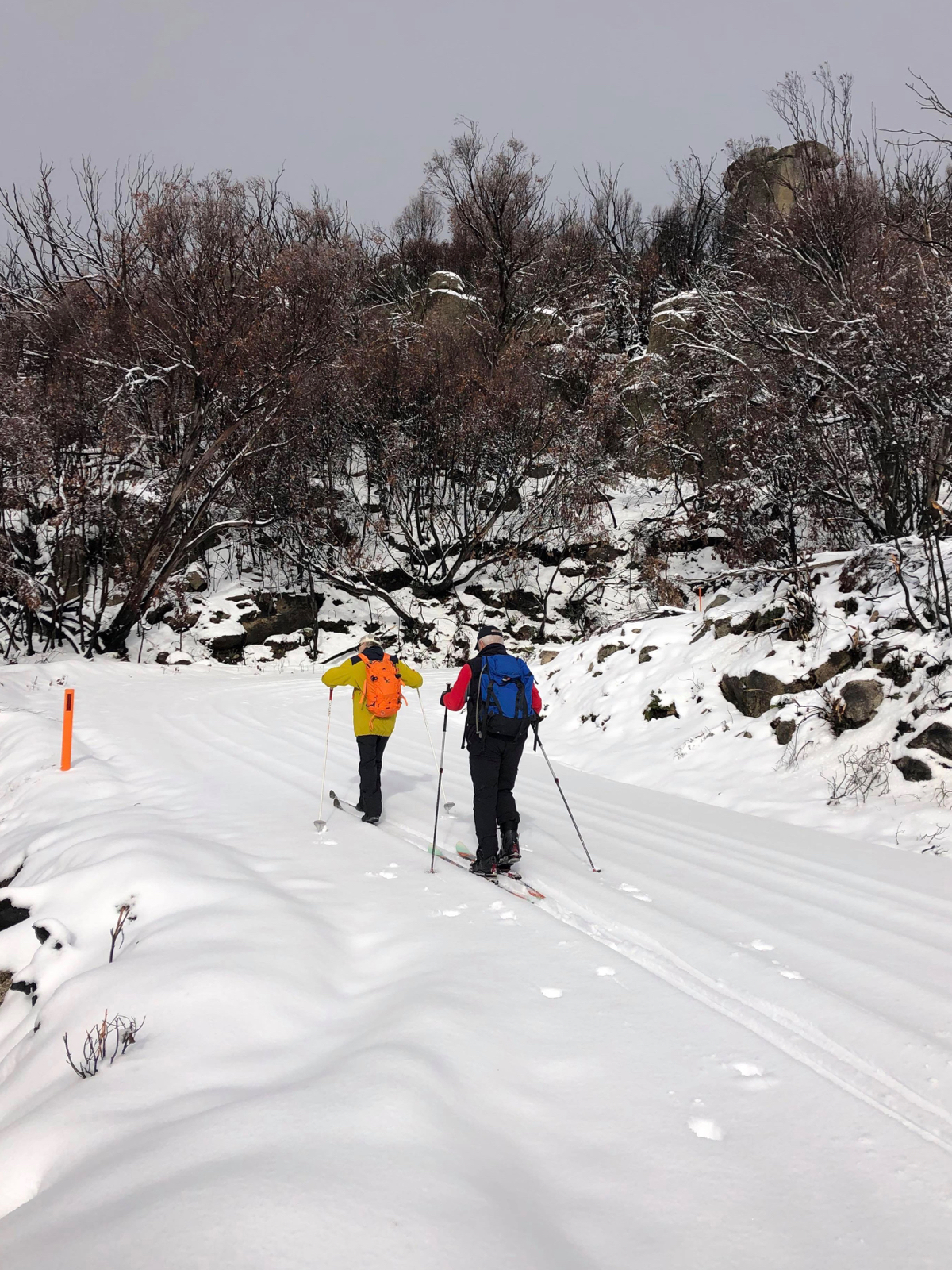 Learn to Cross Country Ski