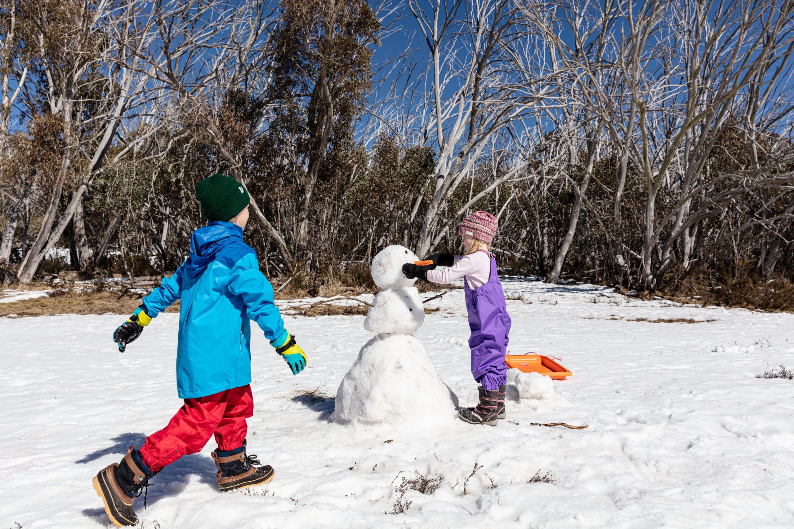 Snowplay, Dingo Dell, Mount Buffalo National Park