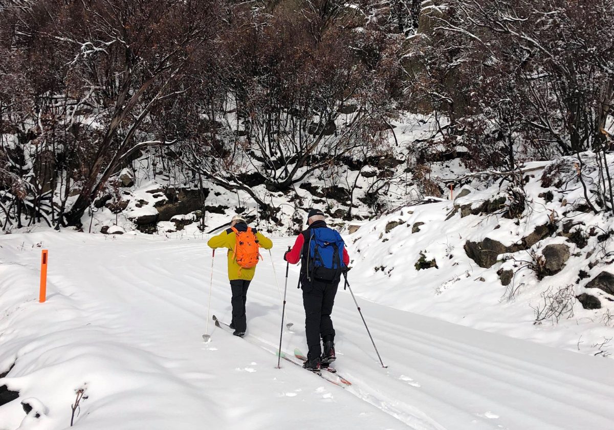 Learn to Cross Country Ski
