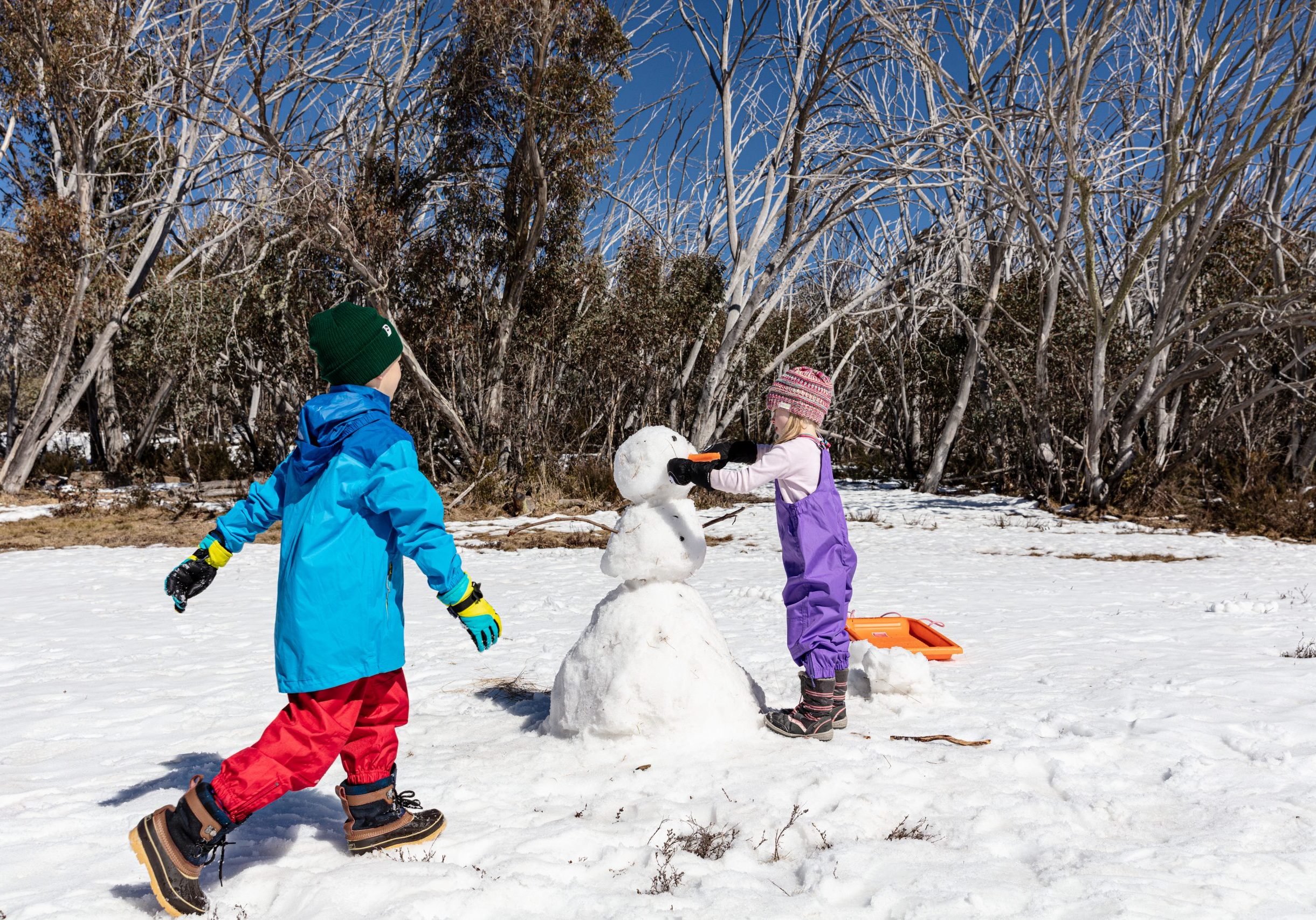 Snowplay, Dingo Dell, Mount Buffalo National Park